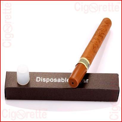 A fashionable style disposable e-cigar